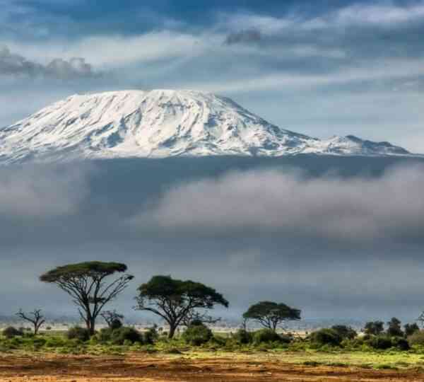 6 Days Marangu Route - Kilimanjaro Climb